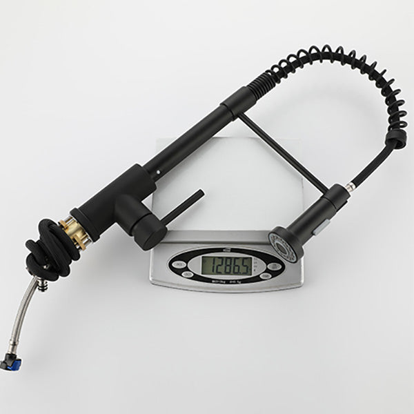 Modern Spring Spout Faucets 1-Handle 1-Hole with Water Dispenser Standard Kitchen Faucets Clearhalo 'Home Improvement' 'home_improvement' 'home_improvement_kitchen_faucets' 'Kitchen Faucets' 'Kitchen Remodel & Kitchen Fixtures' 'Kitchen Sinks & Faucet Components' 'kitchen_faucets' 6327701