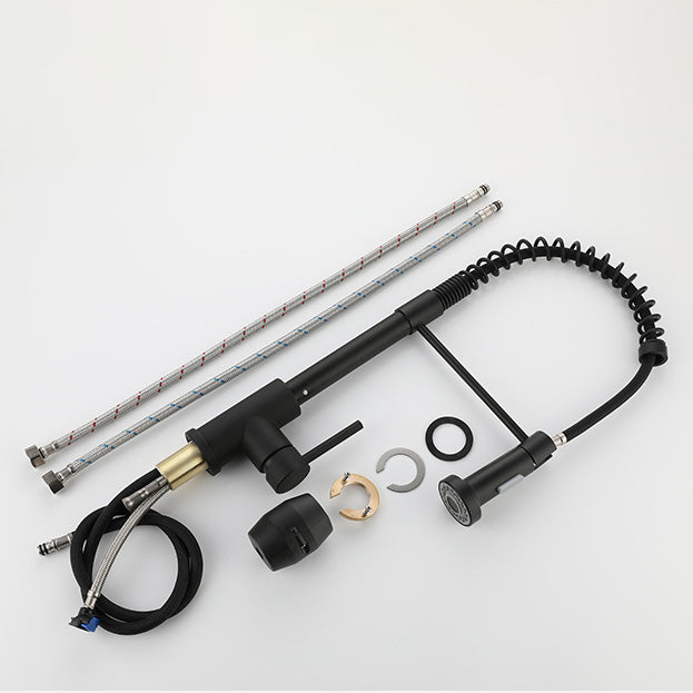 Modern Spring Spout Faucets 1-Handle 1-Hole with Water Dispenser Standard Kitchen Faucets Clearhalo 'Home Improvement' 'home_improvement' 'home_improvement_kitchen_faucets' 'Kitchen Faucets' 'Kitchen Remodel & Kitchen Fixtures' 'Kitchen Sinks & Faucet Components' 'kitchen_faucets' 6327702