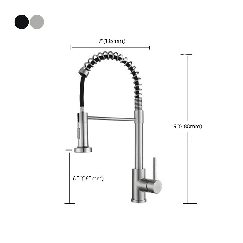 Modern Spring Spout Faucets 1-Handle 1-Hole with Water Dispenser Standard Kitchen Faucets Clearhalo 'Home Improvement' 'home_improvement' 'home_improvement_kitchen_faucets' 'Kitchen Faucets' 'Kitchen Remodel & Kitchen Fixtures' 'Kitchen Sinks & Faucet Components' 'kitchen_faucets' 6327703