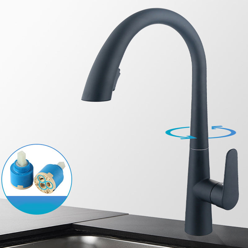Single Handle Kitchen Faucet Pull Down Faucet with Pull out Sprayer Black Clearhalo 'Home Improvement' 'home_improvement' 'home_improvement_kitchen_faucets' 'Kitchen Faucets' 'Kitchen Remodel & Kitchen Fixtures' 'Kitchen Sinks & Faucet Components' 'kitchen_faucets' 6353028