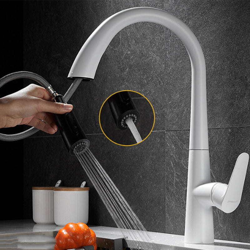 Single Handle Kitchen Faucet Pull Down Faucet with Pull out Sprayer White Clearhalo 'Home Improvement' 'home_improvement' 'home_improvement_kitchen_faucets' 'Kitchen Faucets' 'Kitchen Remodel & Kitchen Fixtures' 'Kitchen Sinks & Faucet Components' 'kitchen_faucets' 6353029