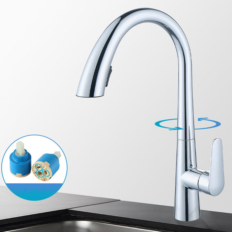 Single Handle Kitchen Faucet Pull Down Faucet with Pull out Sprayer Silver Clearhalo 'Home Improvement' 'home_improvement' 'home_improvement_kitchen_faucets' 'Kitchen Faucets' 'Kitchen Remodel & Kitchen Fixtures' 'Kitchen Sinks & Faucet Components' 'kitchen_faucets' 6353033