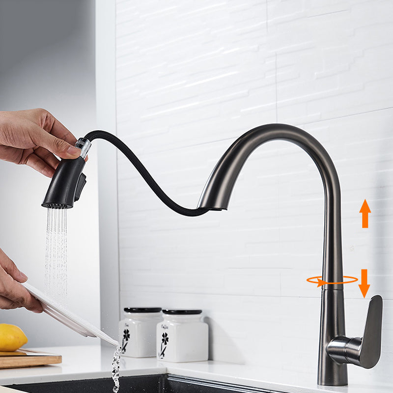 Single Handle Kitchen Faucet Pull Down Faucet with Pull out Sprayer Clearhalo 'Home Improvement' 'home_improvement' 'home_improvement_kitchen_faucets' 'Kitchen Faucets' 'Kitchen Remodel & Kitchen Fixtures' 'Kitchen Sinks & Faucet Components' 'kitchen_faucets' 6353034