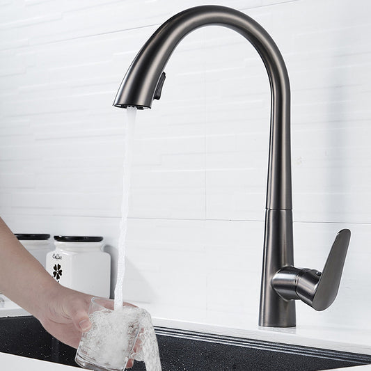 Single Handle Kitchen Faucet Pull Down Faucet with Pull out Sprayer Clearhalo 'Home Improvement' 'home_improvement' 'home_improvement_kitchen_faucets' 'Kitchen Faucets' 'Kitchen Remodel & Kitchen Fixtures' 'Kitchen Sinks & Faucet Components' 'kitchen_faucets' 6353041