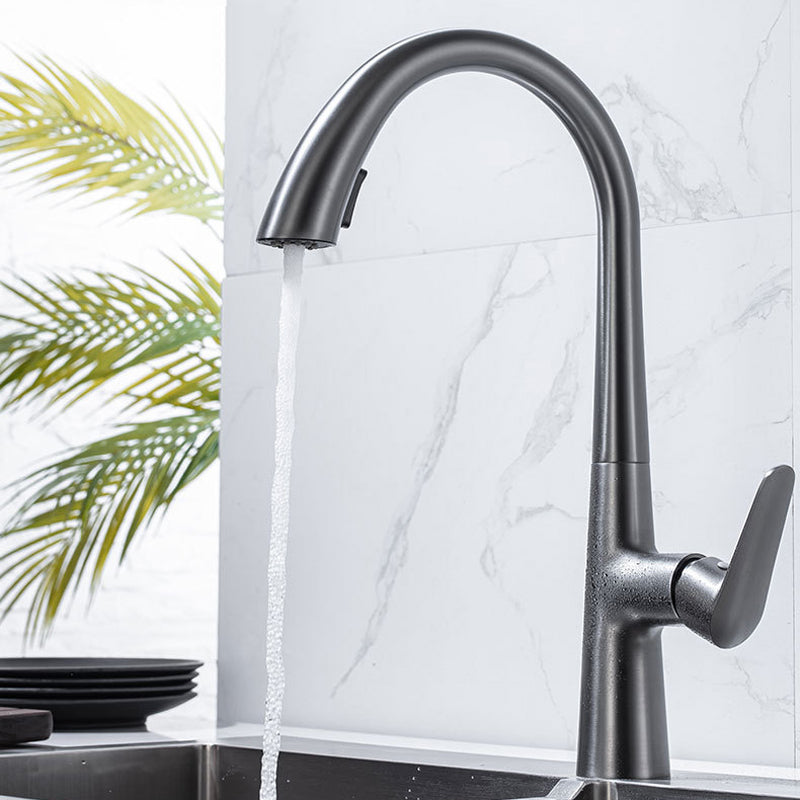 Single Handle Kitchen Faucet Pull Down Faucet with Pull out Sprayer Clearhalo 'Home Improvement' 'home_improvement' 'home_improvement_kitchen_faucets' 'Kitchen Faucets' 'Kitchen Remodel & Kitchen Fixtures' 'Kitchen Sinks & Faucet Components' 'kitchen_faucets' 6353044