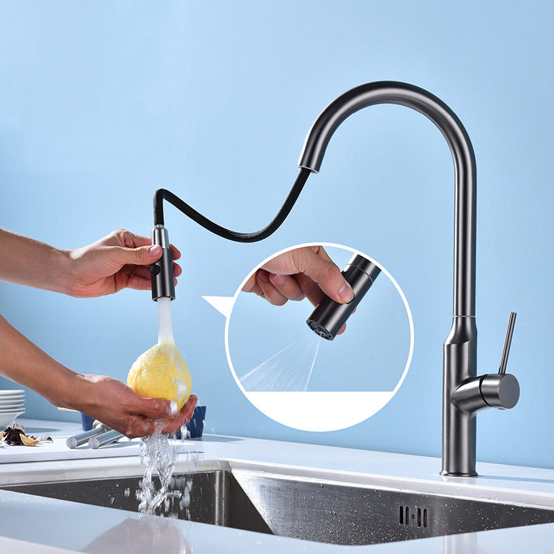 Modern 1-Handle Faucets Stainless Steel with Water Dispenser Pull down Faucets Clearhalo 'Home Improvement' 'home_improvement' 'home_improvement_kitchen_faucets' 'Kitchen Faucets' 'Kitchen Remodel & Kitchen Fixtures' 'Kitchen Sinks & Faucet Components' 'kitchen_faucets' 6353065