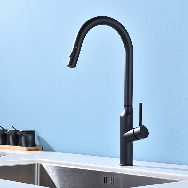 Modern 1-Handle Faucets Stainless Steel with Water Dispenser Pull down Faucets Black Clearhalo 'Home Improvement' 'home_improvement' 'home_improvement_kitchen_faucets' 'Kitchen Faucets' 'Kitchen Remodel & Kitchen Fixtures' 'Kitchen Sinks & Faucet Components' 'kitchen_faucets' 6353066