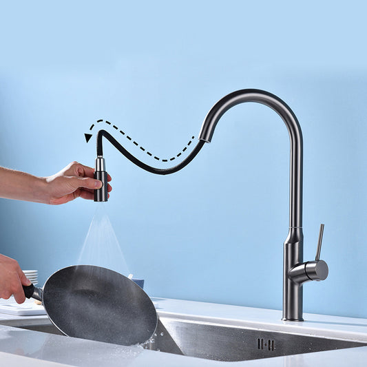 Modern 1-Handle Faucets Stainless Steel with Water Dispenser Pull down Faucets Clearhalo 'Home Improvement' 'home_improvement' 'home_improvement_kitchen_faucets' 'Kitchen Faucets' 'Kitchen Remodel & Kitchen Fixtures' 'Kitchen Sinks & Faucet Components' 'kitchen_faucets' 6353068