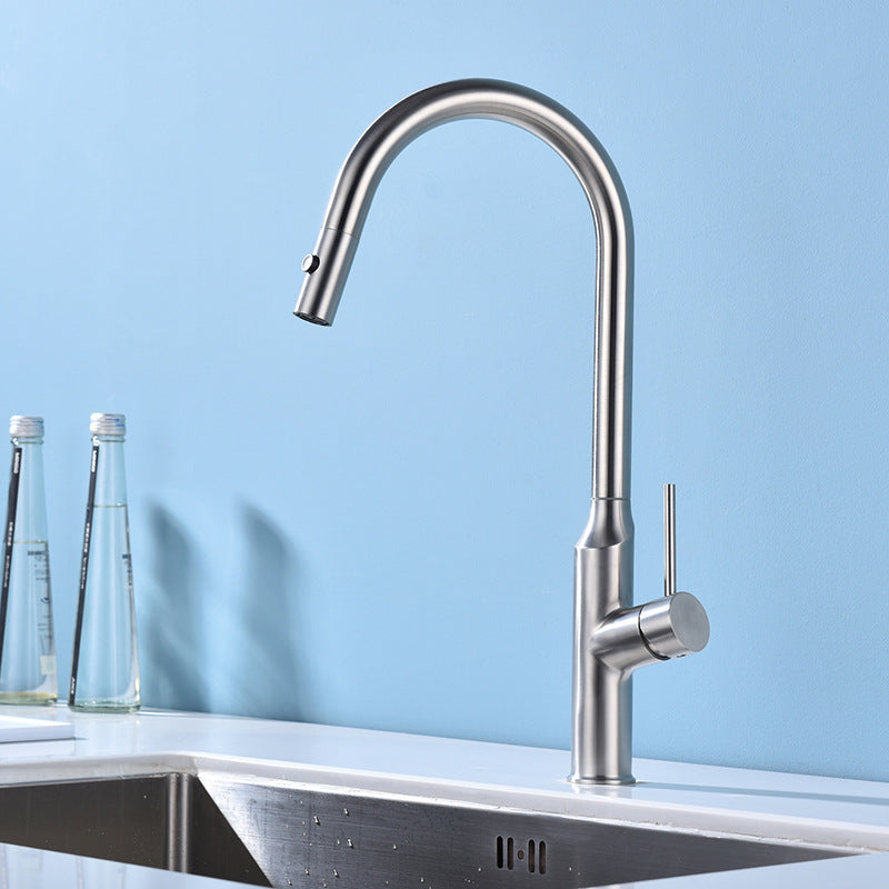 Modern 1-Handle Faucets Stainless Steel with Water Dispenser Pull down Faucets Silver Clearhalo 'Home Improvement' 'home_improvement' 'home_improvement_kitchen_faucets' 'Kitchen Faucets' 'Kitchen Remodel & Kitchen Fixtures' 'Kitchen Sinks & Faucet Components' 'kitchen_faucets' 6353072