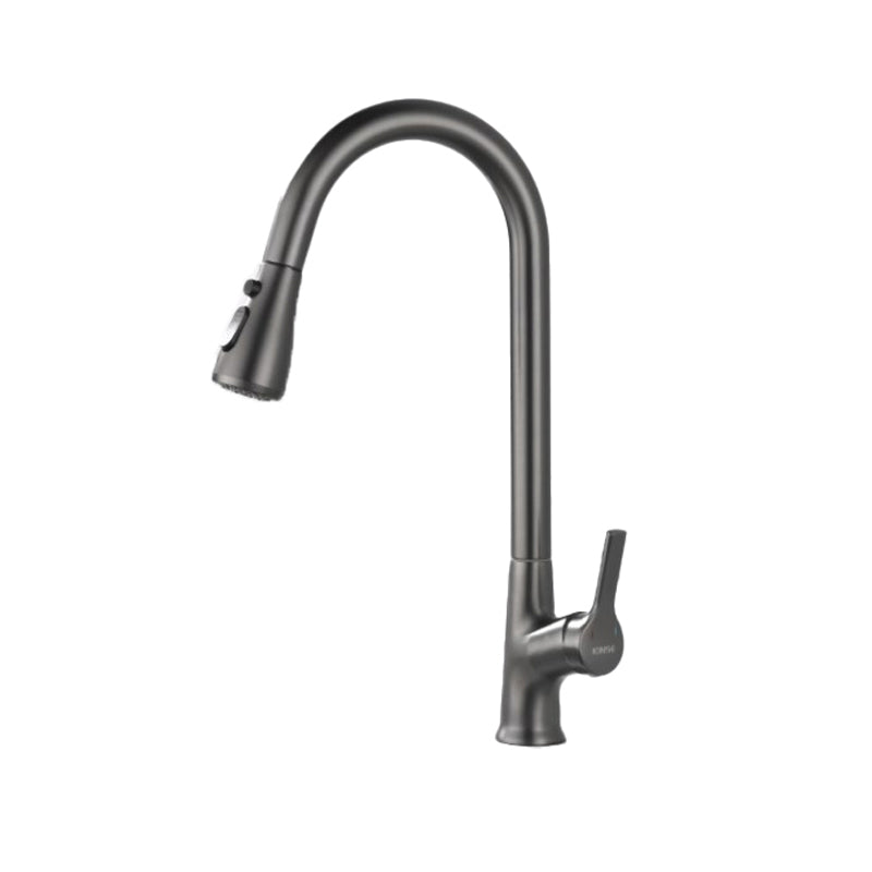 Modern 1-Handle Faucets Stainless Steel with Water Dispenser Pull down Faucets Clearhalo 'Home Improvement' 'home_improvement' 'home_improvement_kitchen_faucets' 'Kitchen Faucets' 'Kitchen Remodel & Kitchen Fixtures' 'Kitchen Sinks & Faucet Components' 'kitchen_faucets' 6353073