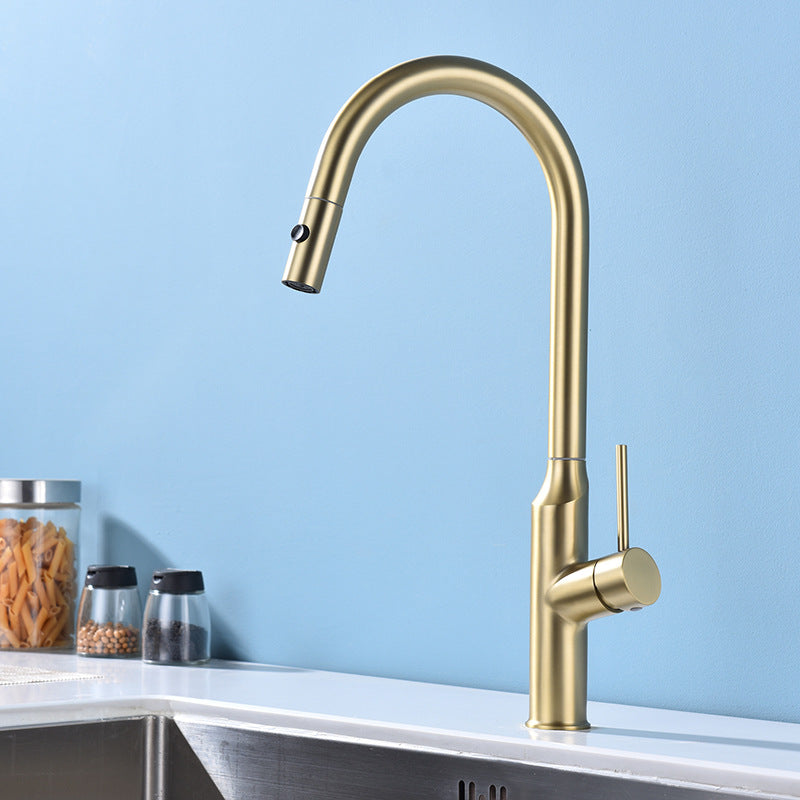 Modern 1-Handle Faucets Stainless Steel with Water Dispenser Pull down Faucets Gold Clearhalo 'Home Improvement' 'home_improvement' 'home_improvement_kitchen_faucets' 'Kitchen Faucets' 'Kitchen Remodel & Kitchen Fixtures' 'Kitchen Sinks & Faucet Components' 'kitchen_faucets' 6353074
