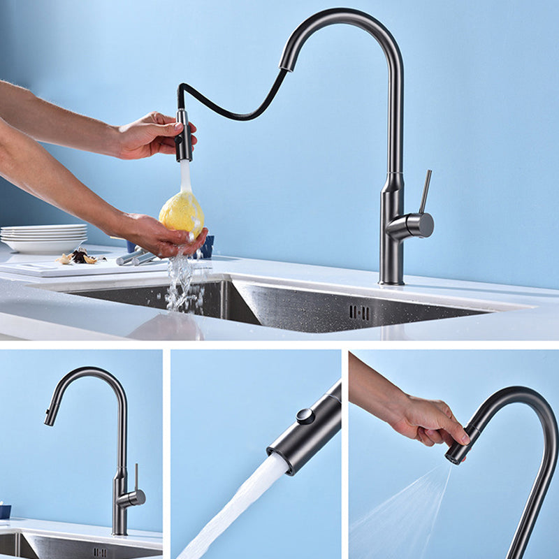 Modern 1-Handle Faucets Stainless Steel with Water Dispenser Pull down Faucets Clearhalo 'Home Improvement' 'home_improvement' 'home_improvement_kitchen_faucets' 'Kitchen Faucets' 'Kitchen Remodel & Kitchen Fixtures' 'Kitchen Sinks & Faucet Components' 'kitchen_faucets' 6353079