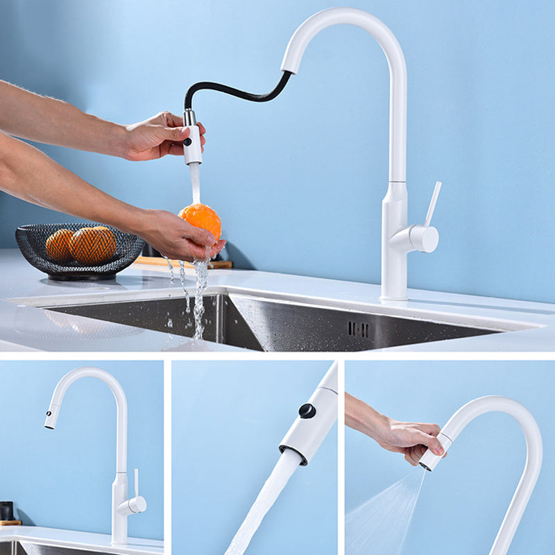 Modern 1-Handle Faucets Stainless Steel with Water Dispenser Pull down Faucets Clearhalo 'Home Improvement' 'home_improvement' 'home_improvement_kitchen_faucets' 'Kitchen Faucets' 'Kitchen Remodel & Kitchen Fixtures' 'Kitchen Sinks & Faucet Components' 'kitchen_faucets' 6353082