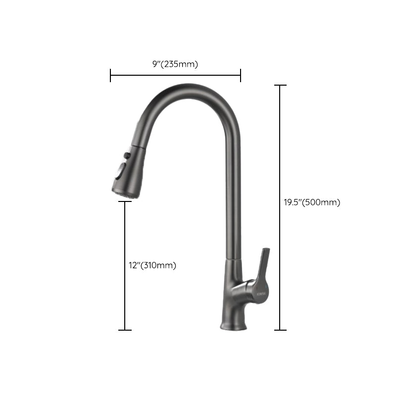 Modern 1-Handle Faucets Stainless Steel with Water Dispenser Pull down Faucets Clearhalo 'Home Improvement' 'home_improvement' 'home_improvement_kitchen_faucets' 'Kitchen Faucets' 'Kitchen Remodel & Kitchen Fixtures' 'Kitchen Sinks & Faucet Components' 'kitchen_faucets' 6353087
