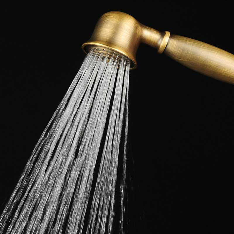 Traditional Handheld Shower Head with Hose Polished Brass Wall-Mount Showerhead Gold Hand Shower Clearhalo 'Bathroom Remodel & Bathroom Fixtures' 'Home Improvement' 'home_improvement' 'home_improvement_shower_heads' 'Shower Heads' 'shower_heads' 'Showers & Bathtubs Plumbing' 'Showers & Bathtubs' 6353644
