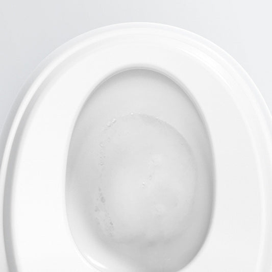 Modern 1-Piece Bidet Toilet Floor Mounted Toilet Bowl for Bathroom Clearhalo 'Bathroom Remodel & Bathroom Fixtures' 'Home Improvement' 'home_improvement' 'home_improvement_toilets' 'Toilets & Bidets' 'Toilets' 6356077