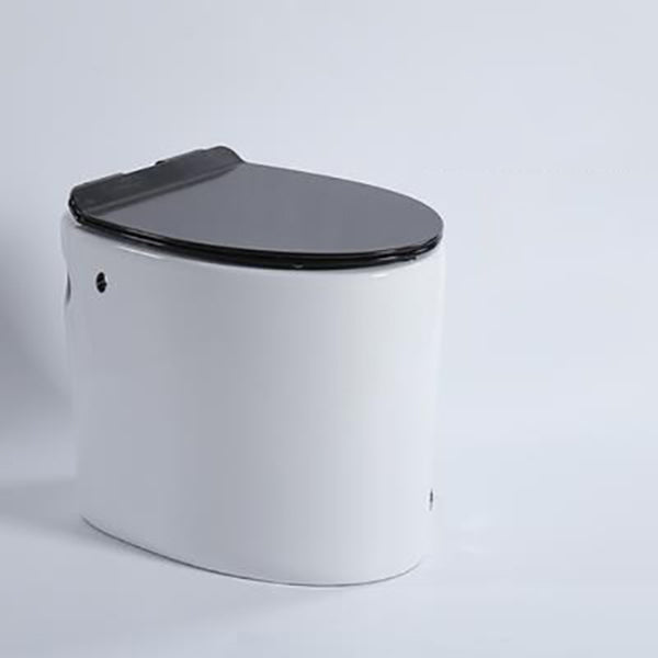 Floor Mounted Toilet One-Piece Toilet ABS Contemporary Flush Toilet 19"L x 14"W x 16"H Black White Manual Flush Clearhalo 'Bathroom Remodel & Bathroom Fixtures' 'Home Improvement' 'home_improvement' 'home_improvement_toilets' 'Toilets & Bidets' 'Toilets' 6356195