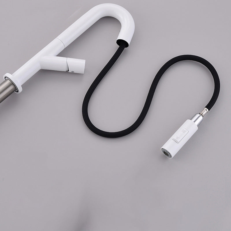 High-Arc Modern Style Bathroom Faucet Single Handle Pull-out Faucet Clearhalo 'Home Improvement' 'home_improvement' 'home_improvement_kitchen_faucets' 'Kitchen Faucets' 'Kitchen Remodel & Kitchen Fixtures' 'Kitchen Sinks & Faucet Components' 'kitchen_faucets' 6365619