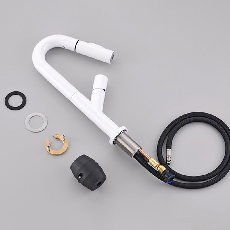 High-Arc Modern Style Bathroom Faucet Single Handle Pull-out Faucet Clearhalo 'Home Improvement' 'home_improvement' 'home_improvement_kitchen_faucets' 'Kitchen Faucets' 'Kitchen Remodel & Kitchen Fixtures' 'Kitchen Sinks & Faucet Components' 'kitchen_faucets' 6365628