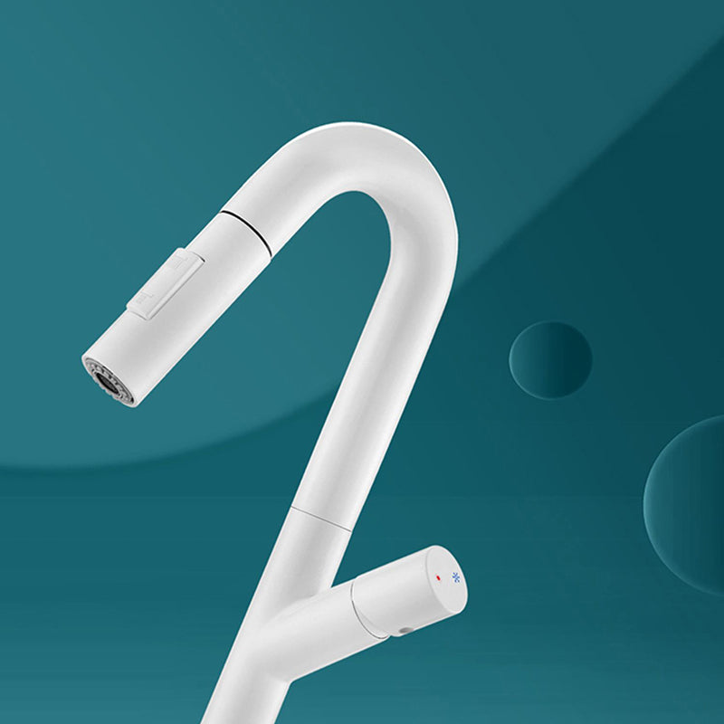 High-Arc Modern Style Bathroom Faucet Single Handle Pull-out Faucet Clearhalo 'Home Improvement' 'home_improvement' 'home_improvement_kitchen_faucets' 'Kitchen Faucets' 'Kitchen Remodel & Kitchen Fixtures' 'Kitchen Sinks & Faucet Components' 'kitchen_faucets' 6365629