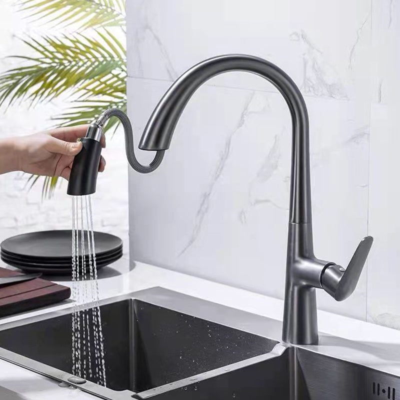 Modern 1-Handle Faucet Pull down with Water Dispenser Standard Kitchen Faucet Black/Gray Clearhalo 'Home Improvement' 'home_improvement' 'home_improvement_kitchen_faucets' 'Kitchen Faucets' 'Kitchen Remodel & Kitchen Fixtures' 'Kitchen Sinks & Faucet Components' 'kitchen_faucets' 6380893