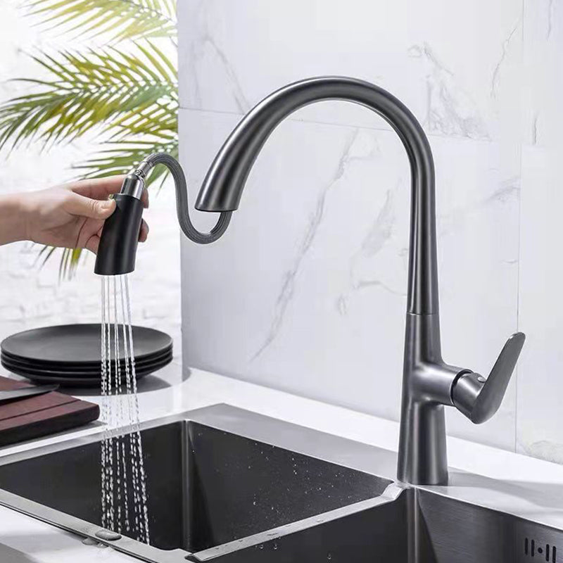 Modern 1-Handle Faucet Pull down with Water Dispenser Standard Kitchen Faucet Black Gray Clearhalo 'Home Improvement' 'home_improvement' 'home_improvement_kitchen_faucets' 'Kitchen Faucets' 'Kitchen Remodel & Kitchen Fixtures' 'Kitchen Sinks & Faucet Components' 'kitchen_faucets' 6380893