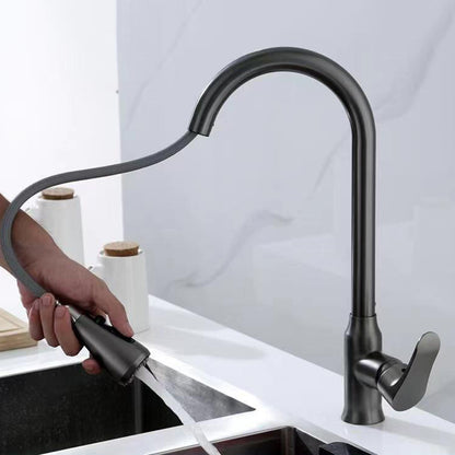 Modern 1-Handle Faucet Pull down with Water Dispenser Standard Kitchen Faucet Matte Black Clearhalo 'Home Improvement' 'home_improvement' 'home_improvement_kitchen_faucets' 'Kitchen Faucets' 'Kitchen Remodel & Kitchen Fixtures' 'Kitchen Sinks & Faucet Components' 'kitchen_faucets' 6380895