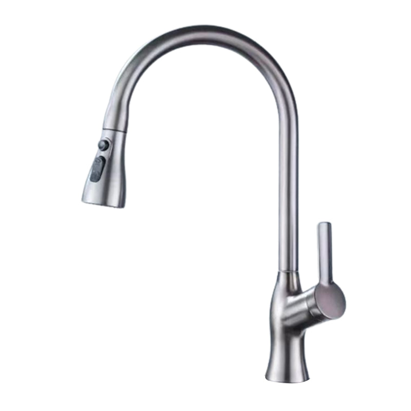 Modern 1-Handle Faucet Pull down with Water Dispenser Standard Kitchen Faucet Clearhalo 'Home Improvement' 'home_improvement' 'home_improvement_kitchen_faucets' 'Kitchen Faucets' 'Kitchen Remodel & Kitchen Fixtures' 'Kitchen Sinks & Faucet Components' 'kitchen_faucets' 6380897