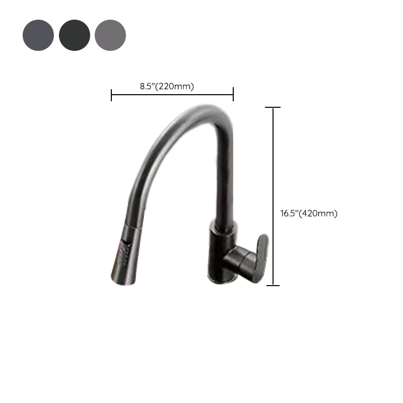 Modern 1-Handle Faucet Pull down with Water Dispenser Standard Kitchen Faucet Clearhalo 'Home Improvement' 'home_improvement' 'home_improvement_kitchen_faucets' 'Kitchen Faucets' 'Kitchen Remodel & Kitchen Fixtures' 'Kitchen Sinks & Faucet Components' 'kitchen_faucets' 6380904