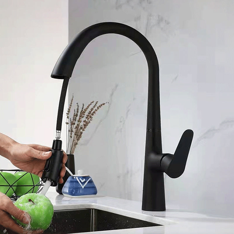 Modern 1-Handle Faucet Pull down Stainless Steel Standard Kitchen Faucet Black Clearhalo 'Home Improvement' 'home_improvement' 'home_improvement_kitchen_faucets' 'Kitchen Faucets' 'Kitchen Remodel & Kitchen Fixtures' 'Kitchen Sinks & Faucet Components' 'kitchen_faucets' 6380905