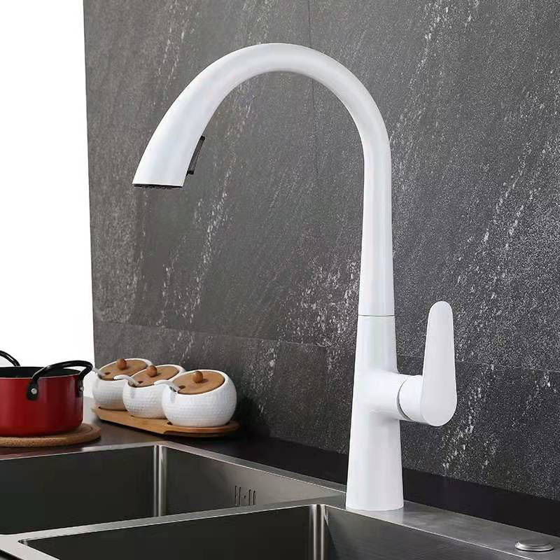 Modern 1-Handle Faucet Pull down Stainless Steel Standard Kitchen Faucet White Clearhalo 'Home Improvement' 'home_improvement' 'home_improvement_kitchen_faucets' 'Kitchen Faucets' 'Kitchen Remodel & Kitchen Fixtures' 'Kitchen Sinks & Faucet Components' 'kitchen_faucets' 6380906