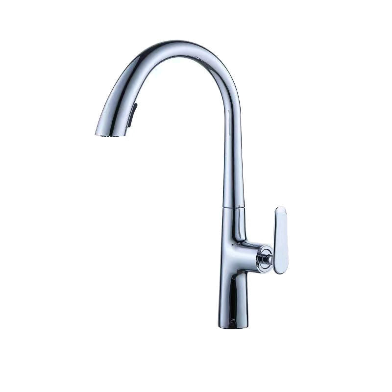 Modern 1-Handle Faucet Pull down Stainless Steel Standard Kitchen Faucet Silver Gray Clearhalo 'Home Improvement' 'home_improvement' 'home_improvement_kitchen_faucets' 'Kitchen Faucets' 'Kitchen Remodel & Kitchen Fixtures' 'Kitchen Sinks & Faucet Components' 'kitchen_faucets' 6380907