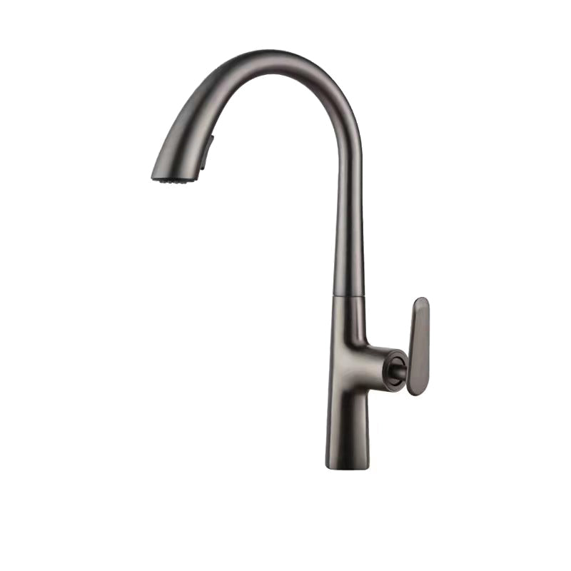 Modern 1-Handle Faucet Pull down Stainless Steel Standard Kitchen Faucet Black Gray Clearhalo 'Home Improvement' 'home_improvement' 'home_improvement_kitchen_faucets' 'Kitchen Faucets' 'Kitchen Remodel & Kitchen Fixtures' 'Kitchen Sinks & Faucet Components' 'kitchen_faucets' 6380910