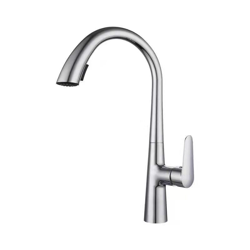 Modern 1-Handle Faucet Pull down Stainless Steel Standard Kitchen Faucet Clearhalo 'Home Improvement' 'home_improvement' 'home_improvement_kitchen_faucets' 'Kitchen Faucets' 'Kitchen Remodel & Kitchen Fixtures' 'Kitchen Sinks & Faucet Components' 'kitchen_faucets' 6380913