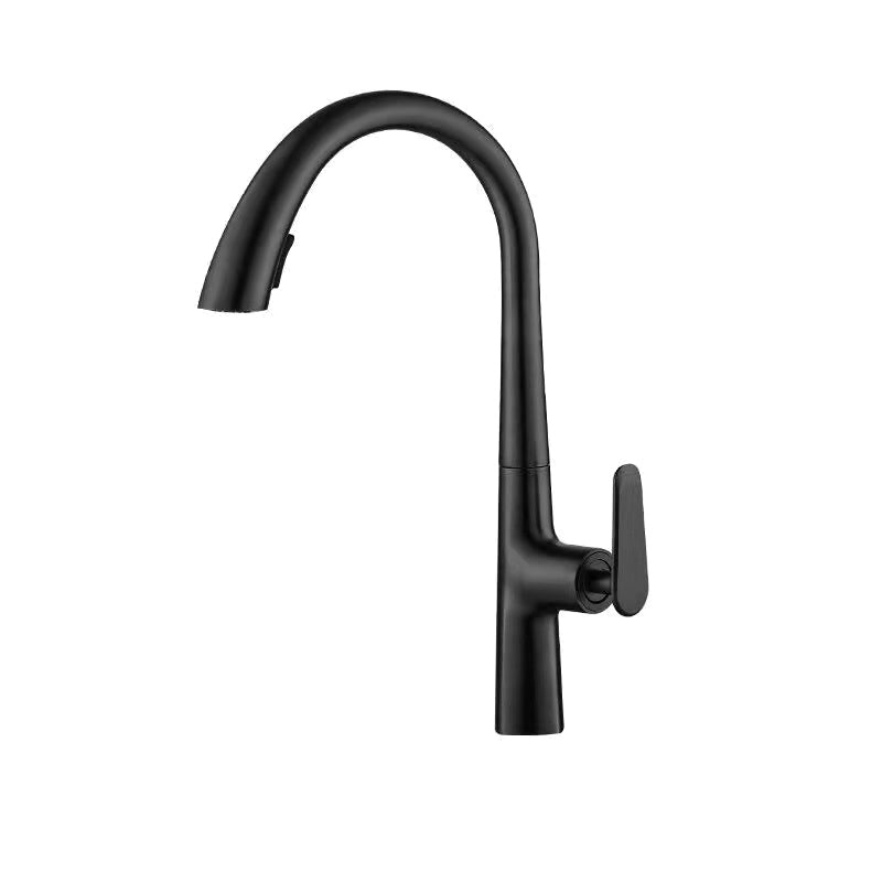 Modern 1-Handle Faucet Pull down Stainless Steel Standard Kitchen Faucet Matte Black Clearhalo 'Home Improvement' 'home_improvement' 'home_improvement_kitchen_faucets' 'Kitchen Faucets' 'Kitchen Remodel & Kitchen Fixtures' 'Kitchen Sinks & Faucet Components' 'kitchen_faucets' 6380914