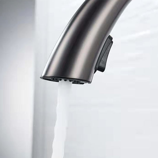 Modern 1-Handle Faucet Pull down Stainless Steel Standard Kitchen Faucet Clearhalo 'Home Improvement' 'home_improvement' 'home_improvement_kitchen_faucets' 'Kitchen Faucets' 'Kitchen Remodel & Kitchen Fixtures' 'Kitchen Sinks & Faucet Components' 'kitchen_faucets' 6380917