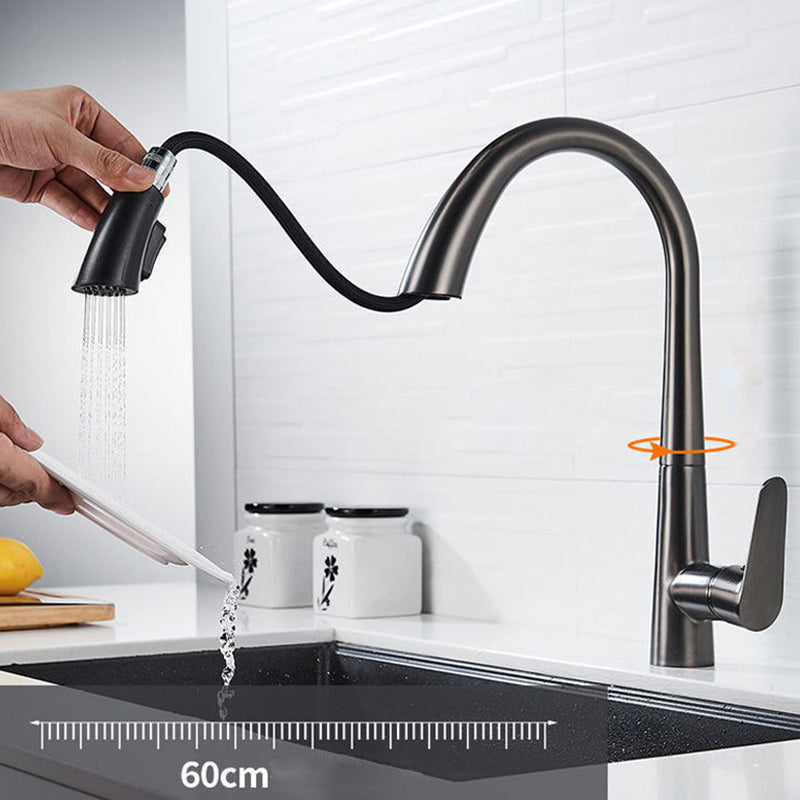 Modern 1-Handle Faucet Pull down Stainless Steel Standard Kitchen Faucet Clearhalo 'Home Improvement' 'home_improvement' 'home_improvement_kitchen_faucets' 'Kitchen Faucets' 'Kitchen Remodel & Kitchen Fixtures' 'Kitchen Sinks & Faucet Components' 'kitchen_faucets' 6380919