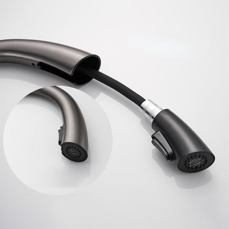 Modern 1-Handle Faucet Pull down Stainless Steel Standard Kitchen Faucet Clearhalo 'Home Improvement' 'home_improvement' 'home_improvement_kitchen_faucets' 'Kitchen Faucets' 'Kitchen Remodel & Kitchen Fixtures' 'Kitchen Sinks & Faucet Components' 'kitchen_faucets' 6380925