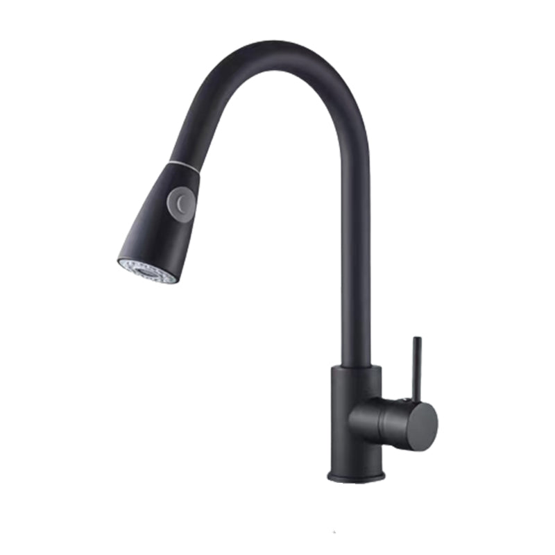Modern 1-Handle Faucet Stainless Steel Pull down Standard Kitchen Faucet Black Supply Line Not Included Clearhalo 'Home Improvement' 'home_improvement' 'home_improvement_kitchen_faucets' 'Kitchen Faucets' 'Kitchen Remodel & Kitchen Fixtures' 'Kitchen Sinks & Faucet Components' 'kitchen_faucets' 6380949