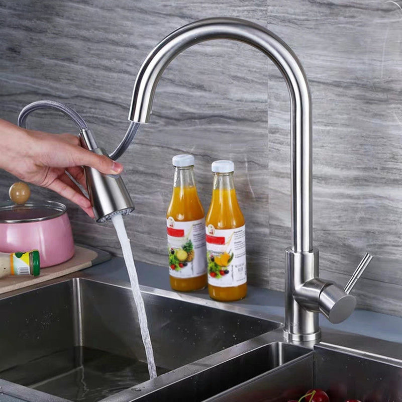 Modern 1-Handle Faucet Stainless Steel Pull down Standard Kitchen Faucet Clearhalo 'Home Improvement' 'home_improvement' 'home_improvement_kitchen_faucets' 'Kitchen Faucets' 'Kitchen Remodel & Kitchen Fixtures' 'Kitchen Sinks & Faucet Components' 'kitchen_faucets' 6380953