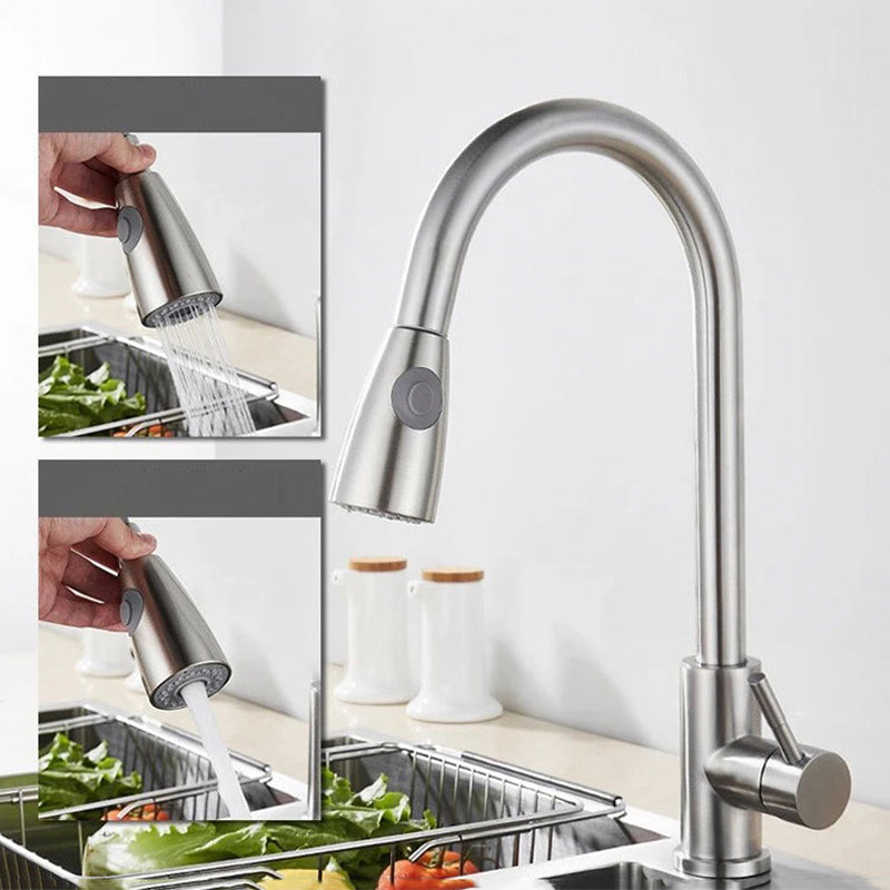 Modern 1-Handle Faucet Stainless Steel Pull down Standard Kitchen Faucet Clearhalo 'Home Improvement' 'home_improvement' 'home_improvement_kitchen_faucets' 'Kitchen Faucets' 'Kitchen Remodel & Kitchen Fixtures' 'Kitchen Sinks & Faucet Components' 'kitchen_faucets' 6380956