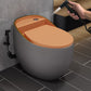 Concealed Tank Flush Toilet Modern Floor Mount One-Piece Toilet with Slow Close Seat Gray Orange Toilet with Sprayer 14" Clearhalo 'Bathroom Remodel & Bathroom Fixtures' 'Home Improvement' 'home_improvement' 'home_improvement_toilets' 'Toilets & Bidets' 'Toilets' 6387620