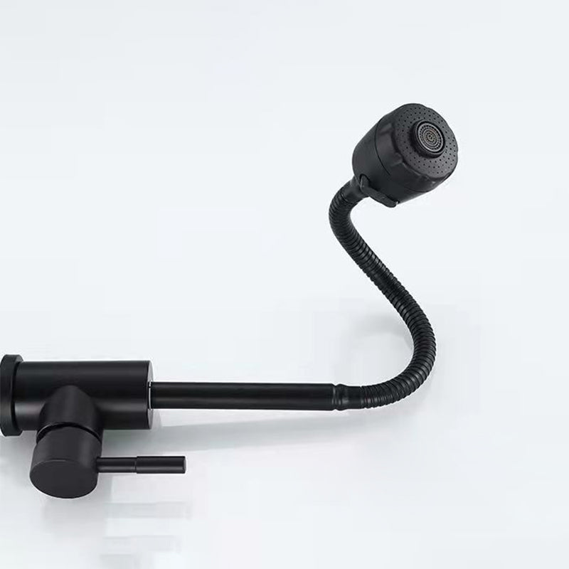 Modern 1-Handle 1-Hole Faucets Black and Silver Standard Kitchen Faucet Clearhalo 'Home Improvement' 'home_improvement' 'home_improvement_kitchen_faucets' 'Kitchen Faucets' 'Kitchen Remodel & Kitchen Fixtures' 'Kitchen Sinks & Faucet Components' 'kitchen_faucets' 6417033