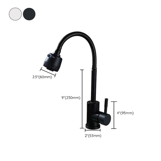 Modern 1-Handle 1-Hole Faucets Black and Silver Standard Kitchen Faucet Clearhalo 'Home Improvement' 'home_improvement' 'home_improvement_kitchen_faucets' 'Kitchen Faucets' 'Kitchen Remodel & Kitchen Fixtures' 'Kitchen Sinks & Faucet Components' 'kitchen_faucets' 6417036