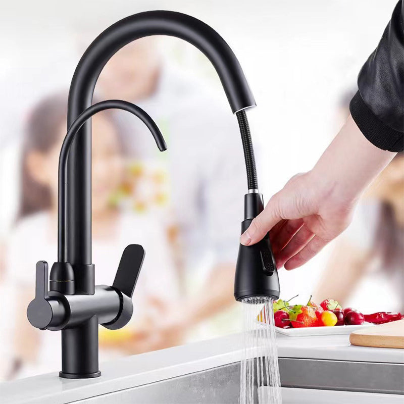 Modern 2-Handle Faucets Copper with Water Dispenser Standard Kitchen Faucets Clearhalo 'Home Improvement' 'home_improvement' 'home_improvement_kitchen_faucets' 'Kitchen Faucets' 'Kitchen Remodel & Kitchen Fixtures' 'Kitchen Sinks & Faucet Components' 'kitchen_faucets' 6417093