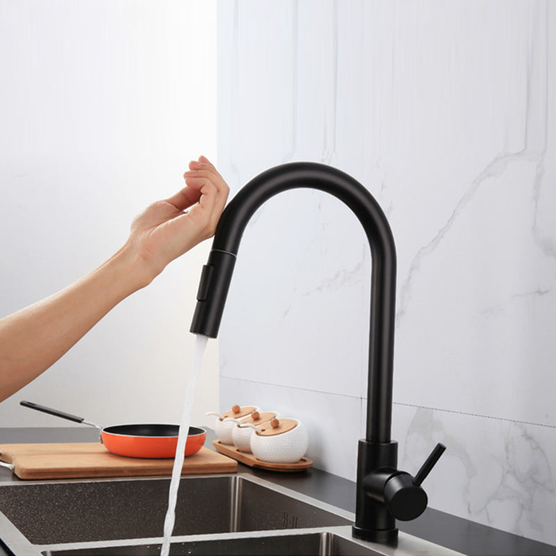 Traditional Pull down Kitchen Faucet Single Handle Faucet with Pull out Sprayer Clearhalo 'Home Improvement' 'home_improvement' 'home_improvement_kitchen_faucets' 'Kitchen Faucets' 'Kitchen Remodel & Kitchen Fixtures' 'Kitchen Sinks & Faucet Components' 'kitchen_faucets' 6423180
