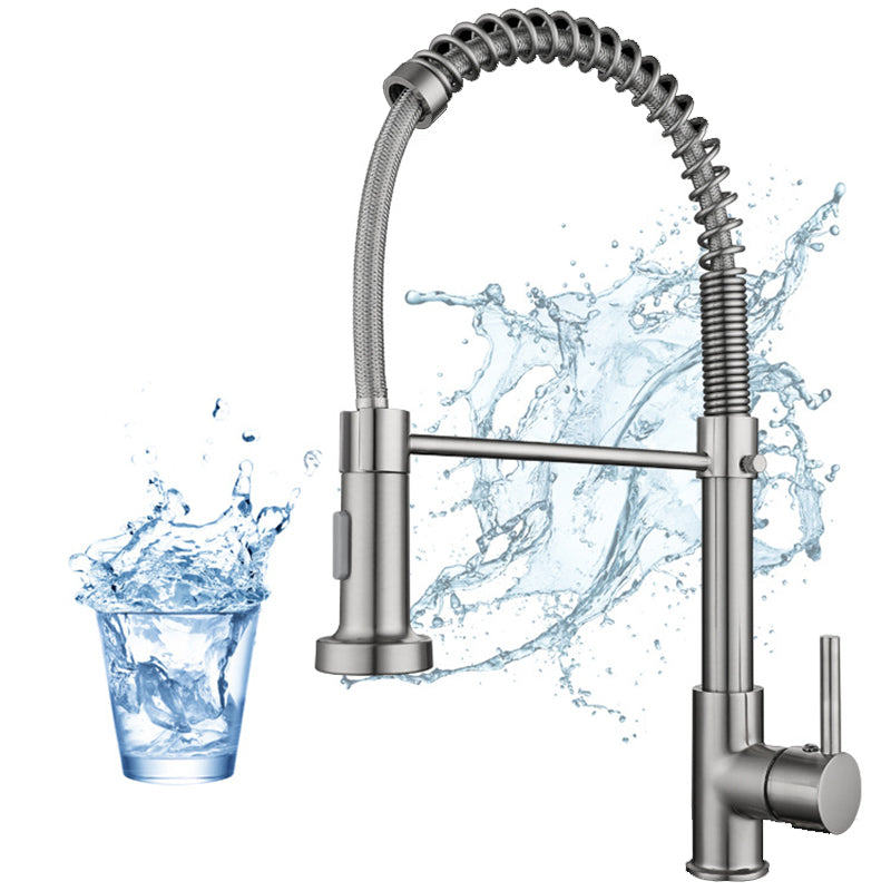 Modern Farmhouse Kitchen Faucet Pull down Single Handle 304 Stainless Steel Faucet Clearhalo 'Home Improvement' 'home_improvement' 'home_improvement_kitchen_faucets' 'Kitchen Faucets' 'Kitchen Remodel & Kitchen Fixtures' 'Kitchen Sinks & Faucet Components' 'kitchen_faucets' 6423208