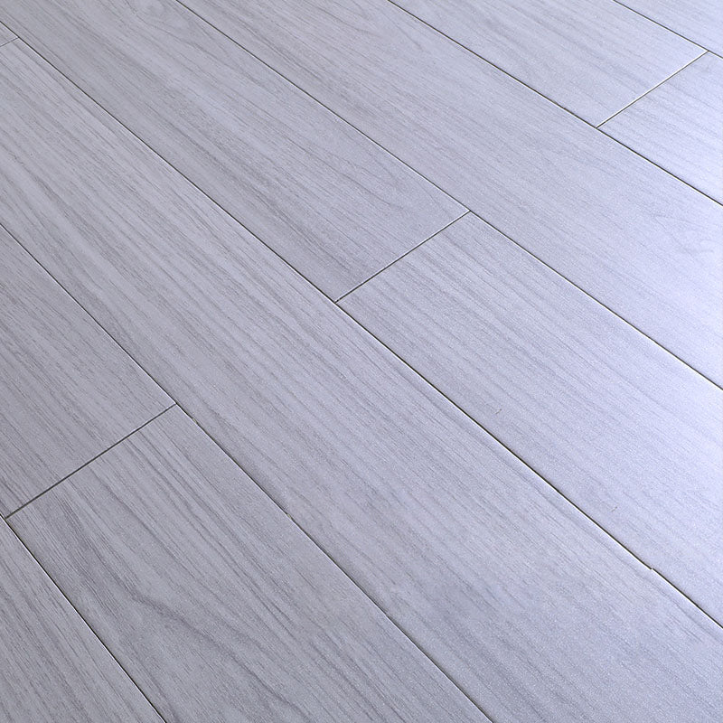 Contemporary Laminate Plank Flooring Solid Wood Laminate Plank Flooring Silver Clearhalo 'Flooring 'Home Improvement' 'home_improvement' 'home_improvement_laminate_flooring' 'Laminate Flooring' 'laminate_flooring' Walls and Ceiling' 6428068