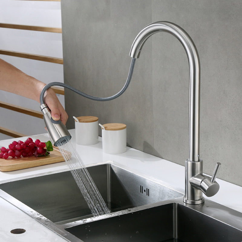 Modern Faucets 1-Handle Pull down with Water Dispenser Standard Kitchen Faucets Clearhalo 'Home Improvement' 'home_improvement' 'home_improvement_kitchen_faucets' 'Kitchen Faucets' 'Kitchen Remodel & Kitchen Fixtures' 'Kitchen Sinks & Faucet Components' 'kitchen_faucets' 6438592