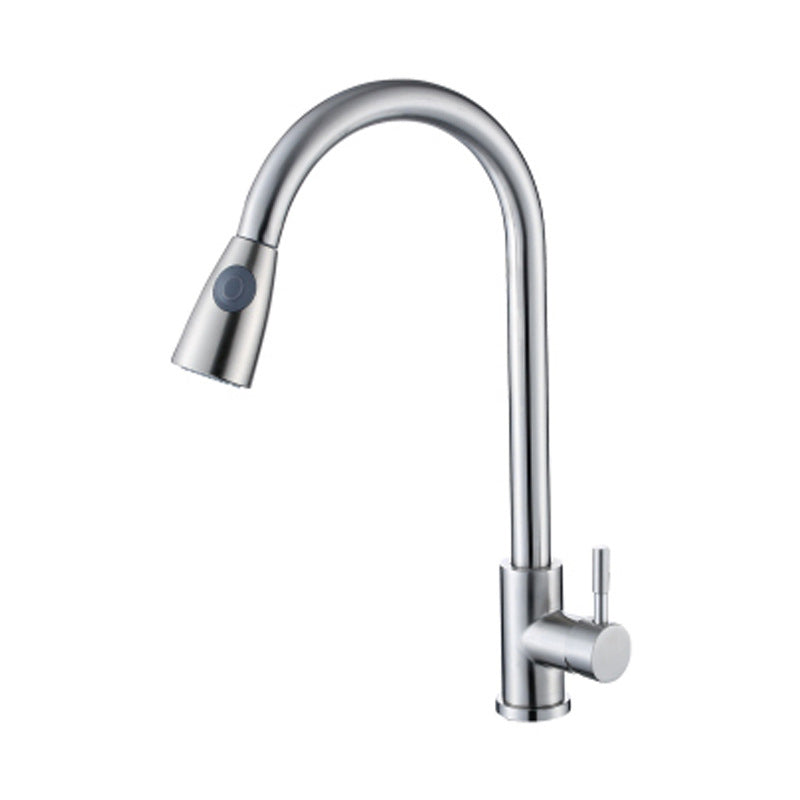 Modern Faucets 1-Handle Pull down with Water Dispenser Standard Kitchen Faucets Silver Supply Line Not Included Clearhalo 'Home Improvement' 'home_improvement' 'home_improvement_kitchen_faucets' 'Kitchen Faucets' 'Kitchen Remodel & Kitchen Fixtures' 'Kitchen Sinks & Faucet Components' 'kitchen_faucets' 6438595